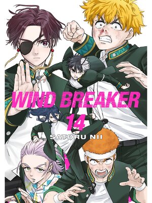 cover image of WIND BREAKER, Volume 14